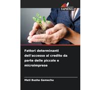 Fattori determinanti dell'accesso al credito da parte delle piccole e microimprese