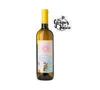 FATTORIA CORONCINO STRAGAIO 2020 VINO BIANCO VERDICCHIO CASTELLI JESI RISERVA