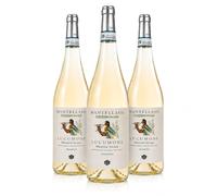 Fattoria Mantellassi Lucumone Vermentino Maremma Toscana DOC 75 cl (3 Bottiglie)