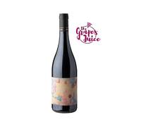 FATTORIA MONTELLORI PINOT NERO 2021 VINO ROSSO TOSCANA IGT