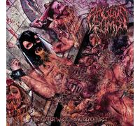 Fatuous Rump The Water Was Coming Black First (CD)