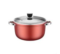 Fauhapyway Cassaforte elettrica a gas con base piatta, in metallo, 22 cm | Interno in acciaio inox 18/8, doppie maniglie robuste, sollevamento sicuro, adatto per fornelli elettrici a gas