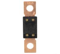 Fauhapyway Heavy Duty, per portafusibili MEGA 60-500A 12/24V con borchie M8 per sistemi audio marini per auto e barche (100A)