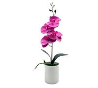 Fauhapyway Orchidea artificiale Phalaenopsis bonsai in vaso, pianta finta realistica per decorazione di casa, ufficio, scrivania, bassa manutenzione, verde bianco (viola)