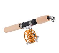 Fauitay Canna da Pesca e Mulinello FD50 Combinati, Canna da Pesca Sul Ghiaccio Telescopica Portatile con Supporto in Metallo e Impugnatura in EVA, Presa Comoda e un Lancio Fluido (Oro)