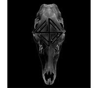 Fauna The Hunt (Vinyl LP) 12" Album