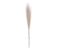 Faux Decor,Tall And Artificial Reed With Branch - Bouquet Plants Fake Small Pompass Branches for Wedding Home Christmas Decor