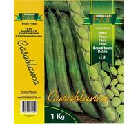 FAVA CASABLANCA ORIGINE MAROCCO SCATOLA KG 1
