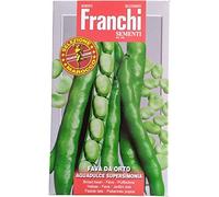 Fava da orto supersimonia da 500gr selezione Marocco