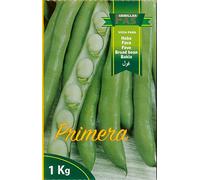 FAVA EXTRA PRECOCE A GRANO BIANCO PRIMERA SCATOLA DA KG 1