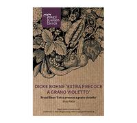 Fava extra precoce a grano violetto (Vicia faba) - circa 20 semi