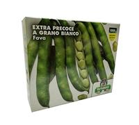 FAVA FAVE EXTRA PRECOCE GRANO BIANCO SEMI ORTO KG. 1 - GR. 1000 L'ORTOLANO