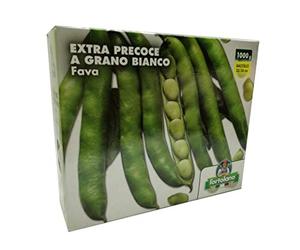 FAVA FAVE EXTRA PRECOCE GRANO BIANCO SEMI ORTO KG. 1 - GR. 1000 L'ORTOLANO