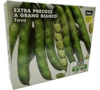 FAVA FAVE EXTRA PRECOCE GRANO BIANCO SEMI ORTO KG. 5 - GR. 5000 L'ORTOLANO