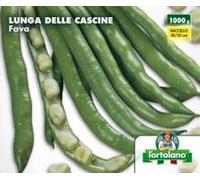 Fava lunga delle Cascine 250g