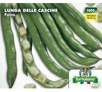 FAVA LUNGA DELLE CASCINE GR 500