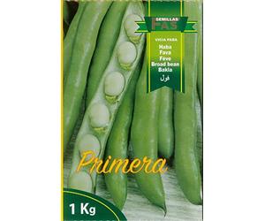FAVE DA SEMINA EXTRA PRECOCE A GRANO BIANCO PRIMERA OFFERTA 3 SCATOLE DA KG 1!!