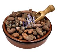 Fave Di Cacao Intere Criollo Crude 20g - 4,9 kg Theobroma Cacao