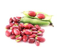 fave, giardino raro rialzata per varietà esotiche di antichi orticole sul balcone decorazione 12semi