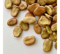 FAVE INTERE ITALIA | Il Contadino | Legumi Secchi (20 Kg)