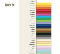 FAVINI - A35A012 - Cartoncino Bristol Color - 50 x 70 cm - 200 gr - nero 63 - Favini - conf. 25 pezzi - 79320 - Conf. da 1 Pz. - A35A012