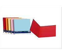 Cartellina semplice FAVINI FOLDER S cartoncino Simplex Luce&Acqua 200 g/m² 25x34