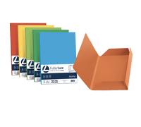 FAVINI - A50X434 - Cartelline 3 lembi Luce - 200 gr - 24,5x34,5 cm - mix 5 colori - Favini - conf. 25 pezzi - 64428 - Conf. da 1 Pz. - A50X434