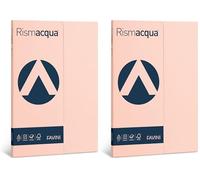 Favini A695544 Rismacqua colore SALMONE confezione da 100 cartoncini da 200gr Formato A4 (21x29,7 cm) Made in Italy