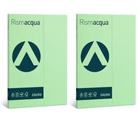 Favini A69P544 Rismacqua colore VERDE CHIARO confezione da 100 cartoncini da 200gr Formato A4 (21x29,7 cm) Made in Italy