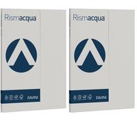 Favini A69U544 Rismacqua colore GHIACCIO confezione da 100 cartoncini da 200gr Formato A4 (21x29,7 cm) Made in Italy