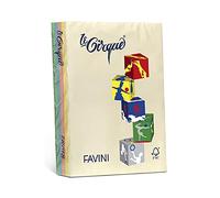 FAVINI carta lecirque a4 160gr 100 fg assortito in 4 colori tenui