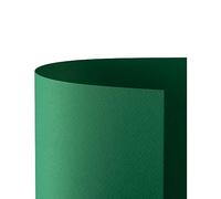 Favini Cartoncino Prisma 220 50x70 cm - Verde - A33D012 (conf.20)
