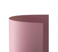Favini Cartoncino Prisma 220 70x100 cm - Rosa - A33S0A1 (conf.10)