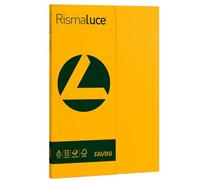 Favini Rismaluce Small A4 100 fogli 90 gr/mq Colore Giallo Oro 52