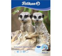 Pelikan 224840 - Blocco da Disegno, Formato A3, 20 Fogli, 100 g