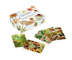 Favoritenpresse Il Gioco Memo Ernst Haeckel: Forme d'Arte della Natura (con Booklet)