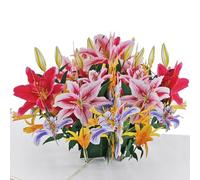 Favour Pop Up® - Un magnifico bouquet di orchidee in 3D, per compleanno, anniversario, anche per regali in denaro o buoni. XP924