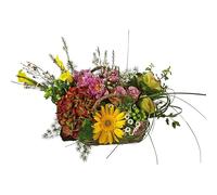 Faxiflora Cesto di fiori colorati