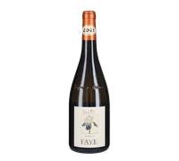 Faye Bianco Pojer e Sandri 2022