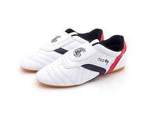 Fayengan Scarpe per Taekwondo, Boxe, Karate e Kung Fu - Allenamento Taichi e Taekwondo (Bianco, 40 EU)
