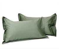 Fazzini Completo di Lenzuola matrimoniali in Puro Raso di Cotone 300TC Effetto setificato Art. Trecento qualità Top (Verde Salvia 3)