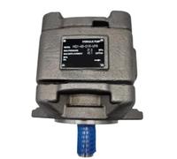 FBPQRCONS Pompa a Ingranaggi HG1 per stampaggio iniezione servopompa Olio | Basso rumore, funzionamento fluido, lunga durata, azionamento elettrico. HG1-25/32/40/50/63-01R-VPC.(Hg1-40-01r-vpc)