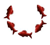 FBSHOP(TM) 5 pomelli in ceramica a forma di pesce, per bambini, per cassetti, armadi, cassetti, cassetti, maniglie per porte e mobili con viti