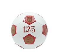 FC Bayern Monaco I Calcio 125 Anni I Multicolore - Il Pallone Del Giubileo
