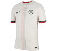 FC Chelsea 2025/26 Match Away Nike Authentic Dri-Fit ADV - Maglia da Calcio da Uomo, HJ4553
