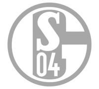 FC Schalke 04 adesivi argento