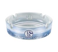 FC Schalke 04 Posacenere