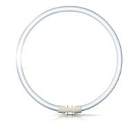 FC40 W/T5 - T5 circolare tubo 40 W - Colore: Bianco caldo - 830 - GX13 Cap