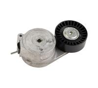 FCA Rullo tendicinghia piatto con braccio tenditore NTN-SNR OEM 55247439 ricambi