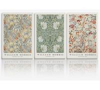 Fchen art William Morris, set di 3 stampe artistiche da parete, con stampa artistica vintage del museo William Morris, stampe Art Nouveau, stampa artistica tradizionale botanica vintage con cornice,